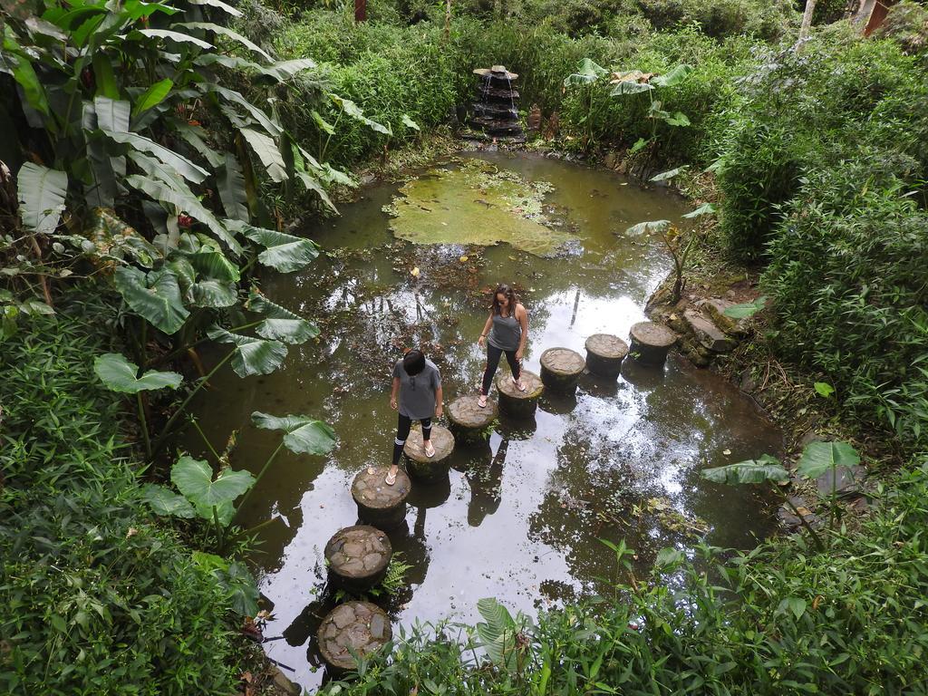 Hosteria La Roulotte - Mindo Ngoại thất bức ảnh