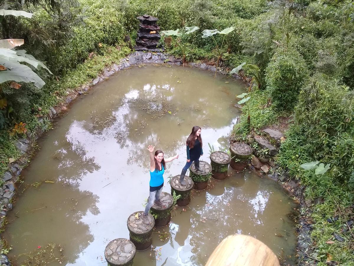 Hosteria La Roulotte - Mindo Ngoại thất bức ảnh