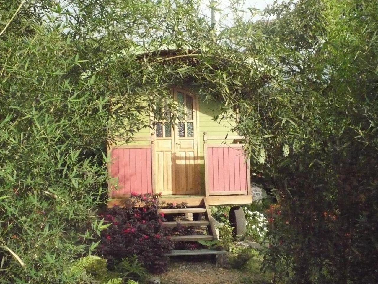 Hosteria La Roulotte - Mindo Ngoại thất bức ảnh