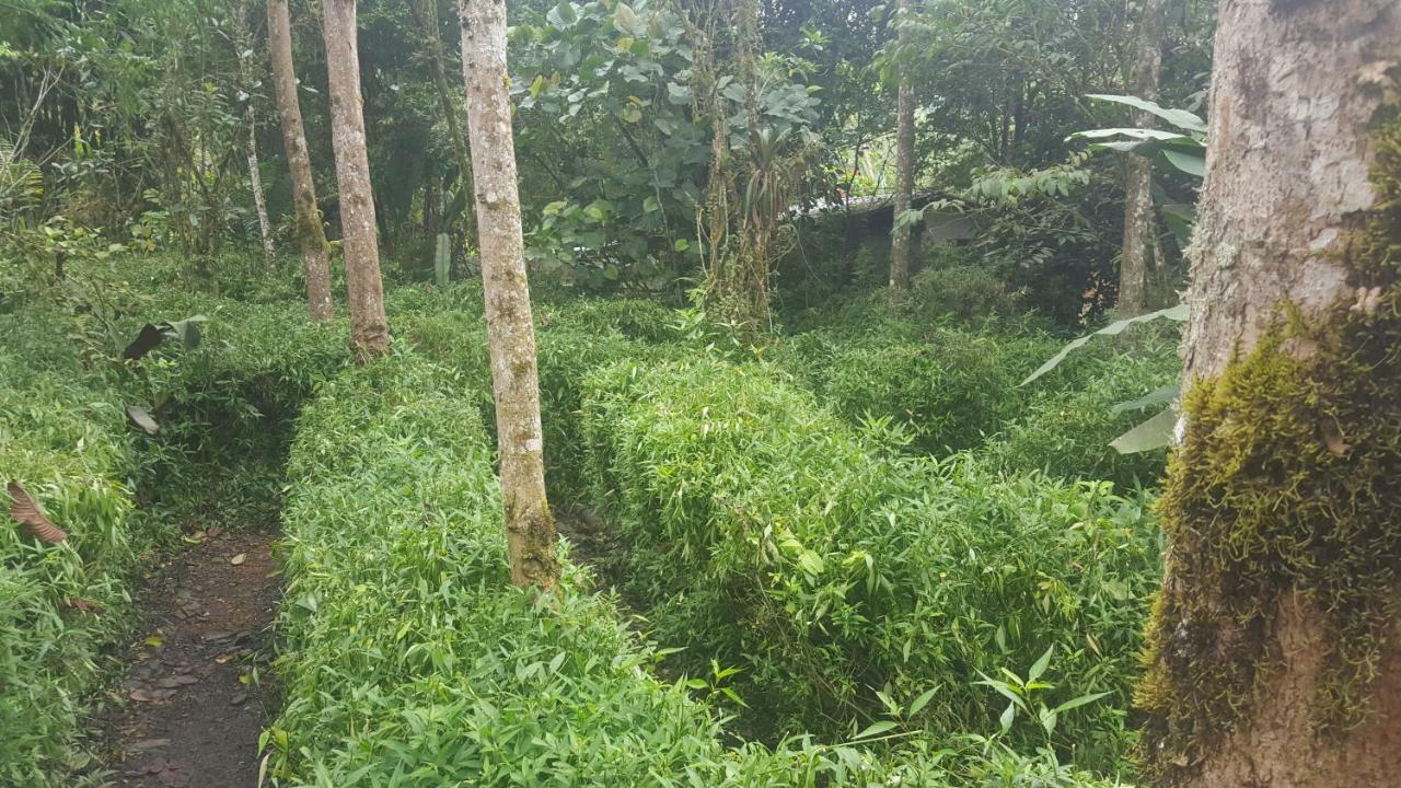 Hosteria La Roulotte - Mindo Ngoại thất bức ảnh